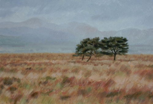 Dreich & 3 Lone Trees SOLD