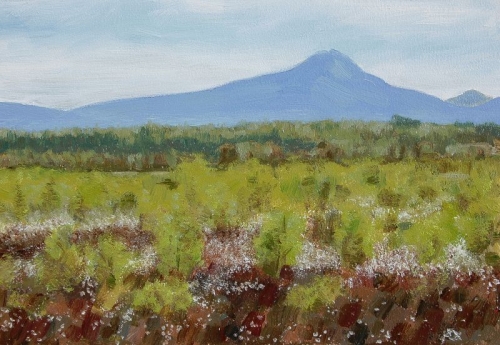 Ben Lomond from Flanders Moss, in the Carse of Stirling.Summer.