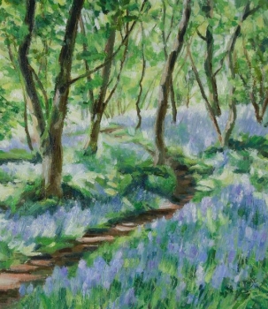 Inchmahome bluebells 3