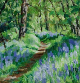 Killearn Glen bluebells 3.