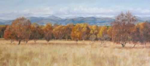 Distant trossachs from the Kippen Road, autumn