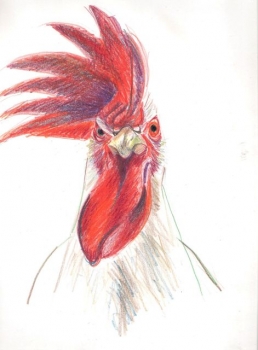 'Bird with Attitude' SOLD