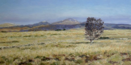 Ben Ledi with lone birch 2