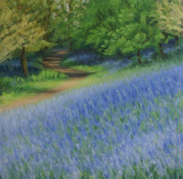 Killearn Glen, bluebells 2