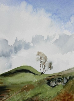 'Lone beech tree, Fintry'