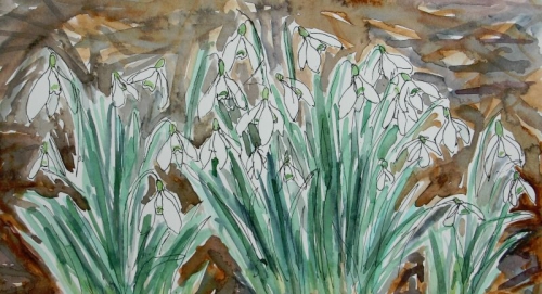 'Snowdrops'