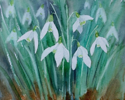 'Snowdrops in the rain'