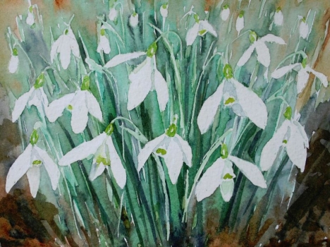 'Snowdrops' SOLD