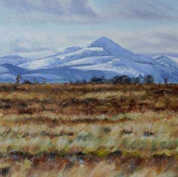 'Bog & Snow with ben Lomond'