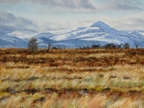 Bog & Snow from Kippen Muir with Ben Lomond