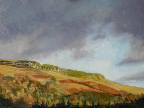 'Fintry Hills from Fintry Cross'