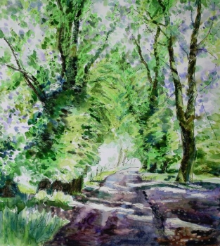 'Sun through the Limes, Culcreuch castle Drive'