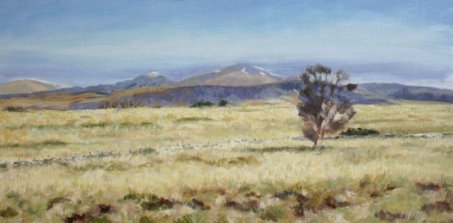 'Ben Ledi with lone birch 2'