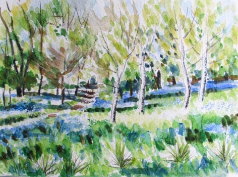 'Killearn Glen Bluebells'