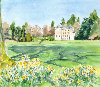 'Sunshine & Daffodils at Culcreuch Castle'