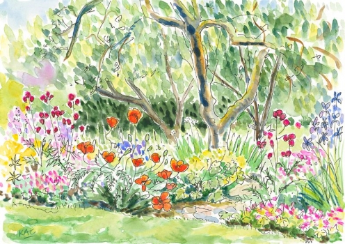 'Poppies in the Garden'