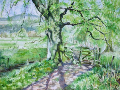 'Big Tree, Little gate, Spring'