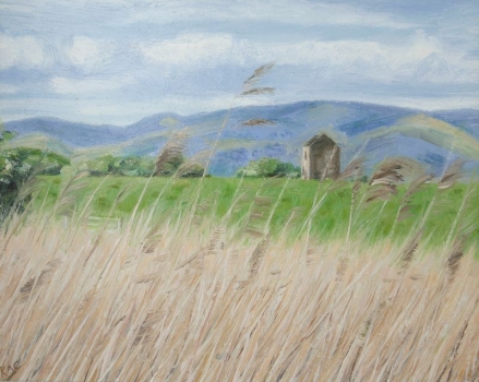 'Ochils & Tower from Skinflats'