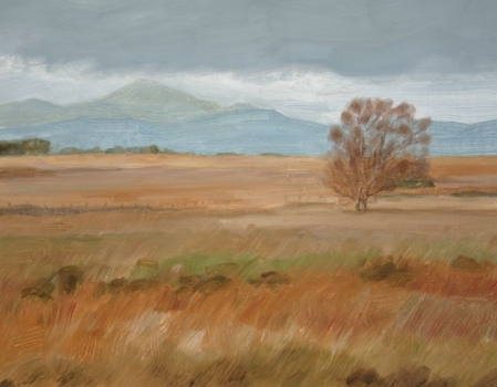 'Ben Ledi, Autumn'