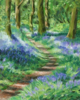 'Killearn Glen Bluebells 1'