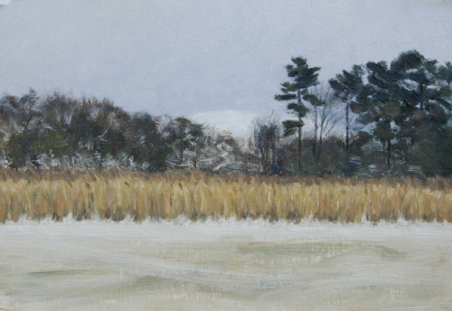 'Frozen Craigton Pond, Fintry'