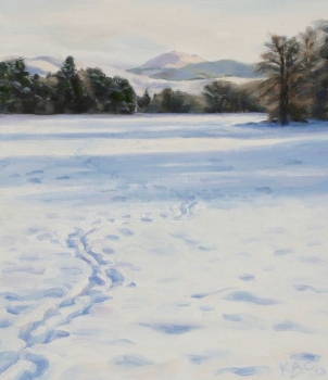 'Snow between the Lade and the River Endrick, Fintry'