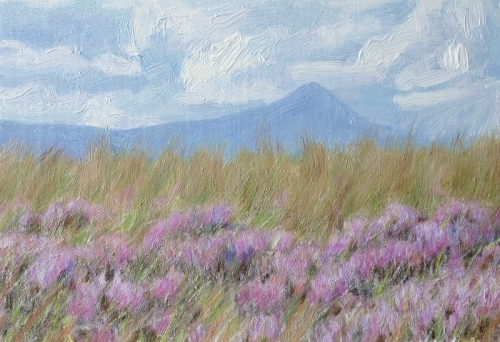 'Heather & Ben Lomond'