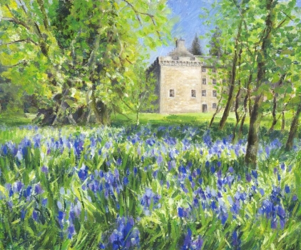 'Bluebells at Culcreuch Castle'