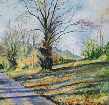 'Path to the Play Park, Fintry'