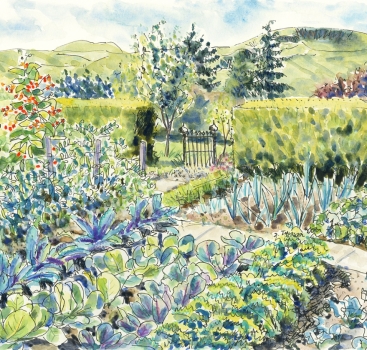 The Vegetable Garden