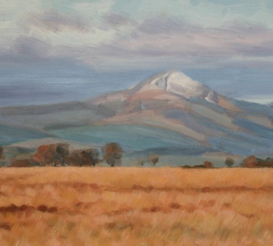 'Ben Lomond'. Sold out.